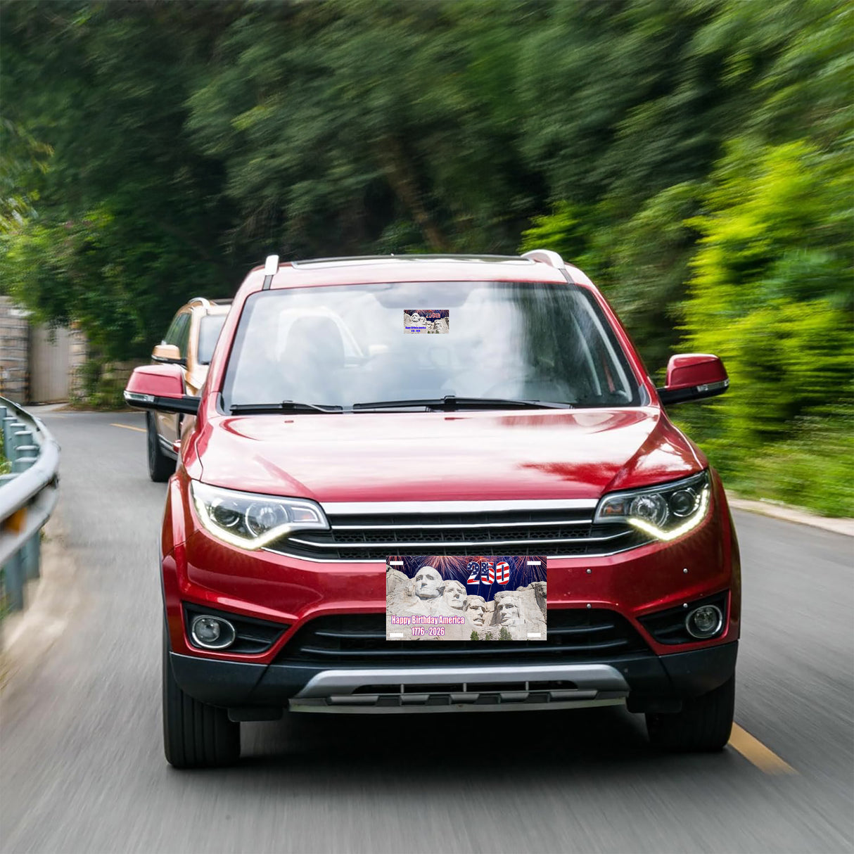250 American Birthday License Plate Cover