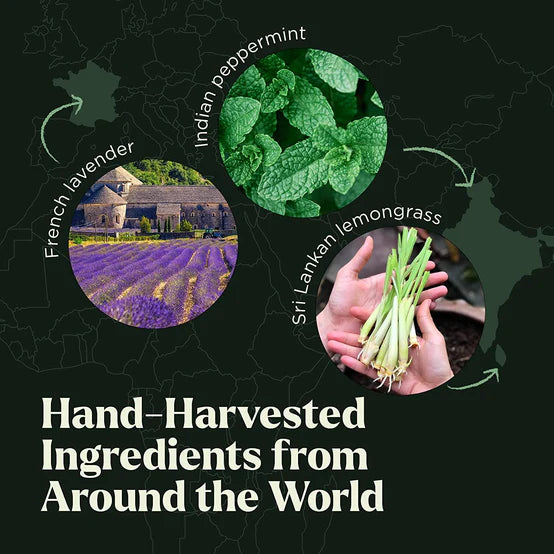 Essential Aromatherapy Oils