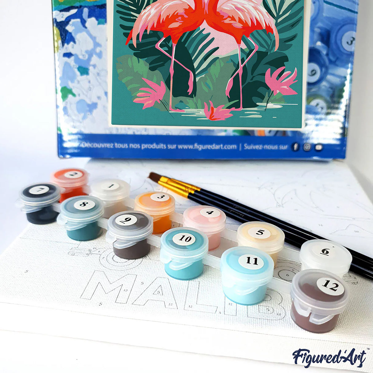 Flamingo - Mini Paint by Numbers