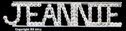 Jeannie Rhinestone Pin Jewelry Brooch Bling