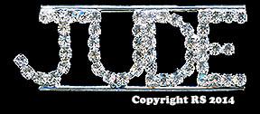 Jude Rhinestone Pin Rhinestone Pin Brooch Bling
