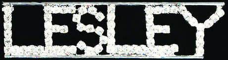 Lesley Rhinestone Pin Rhinestone Pin Brooch Bling