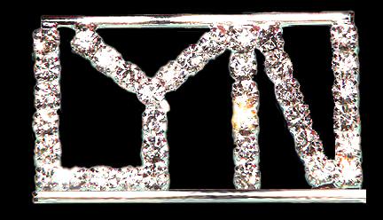 Lyn Rhinestone Pin Rhinestone Pin Brooch Bling