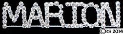 Marion Rhinestone Pin Rhinestone Pin Brooch Bling