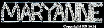 Maryanne Rhinestone Pin Rhinestone Pin Brooch Bling