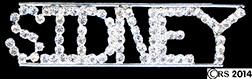 Sidney Rhinestone Pin Rhinestone Pin Brooch Bling