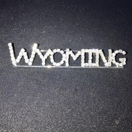 Wyoming Rhinestone Pin Rhinestone Pin Brooch Bling