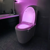 Toilet Night Light