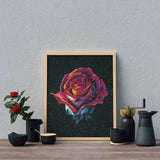 Dark Rose Diamond Painting Kit