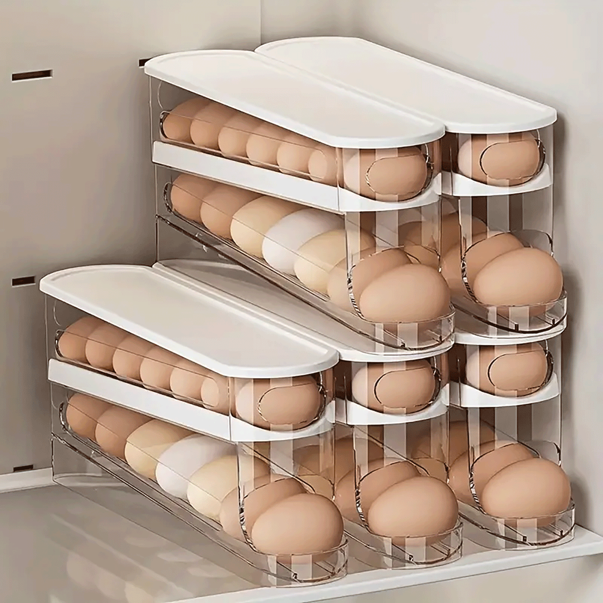 30 Egg Automatic Rack