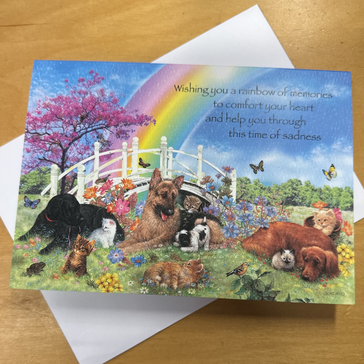 Rainbow of Memories Pet Cards