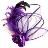 Devine Fascinator