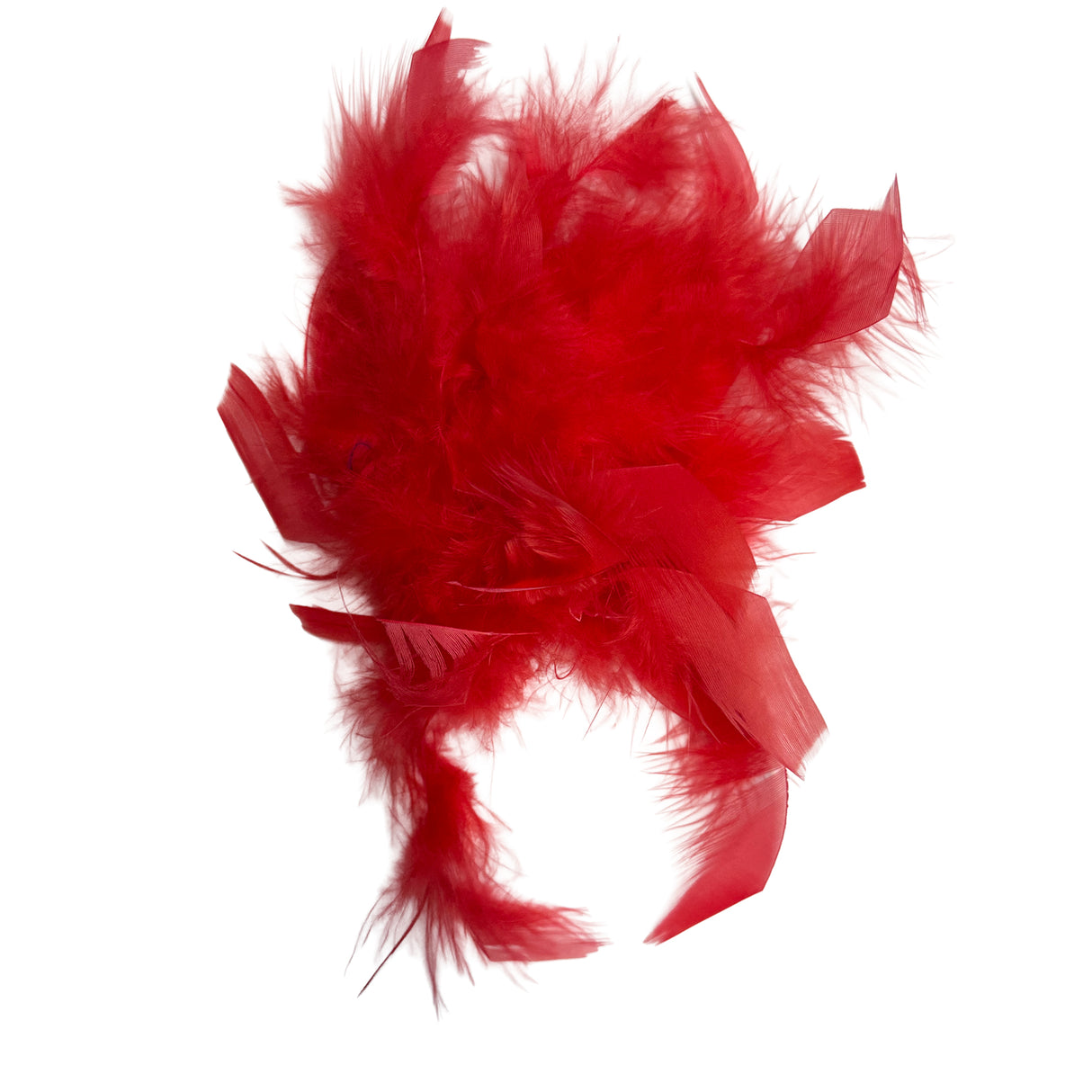 Red Feather Clip