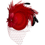 Lauren Feather Fascinator