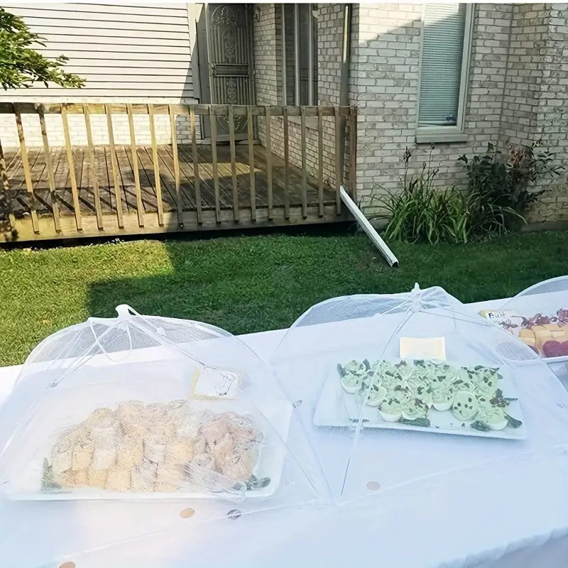 *White Mesh Food Covering