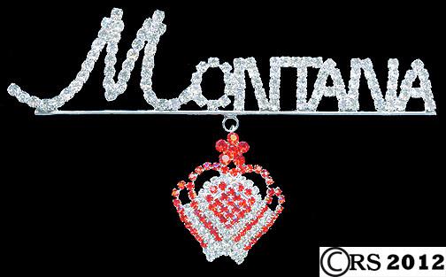 Montana Rhinestone Pin w/Crown Rhinestone Pin Brooch Bling 