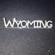 Wyoming Rhinestone Pin Rhinestone Pin Brooch Bling 